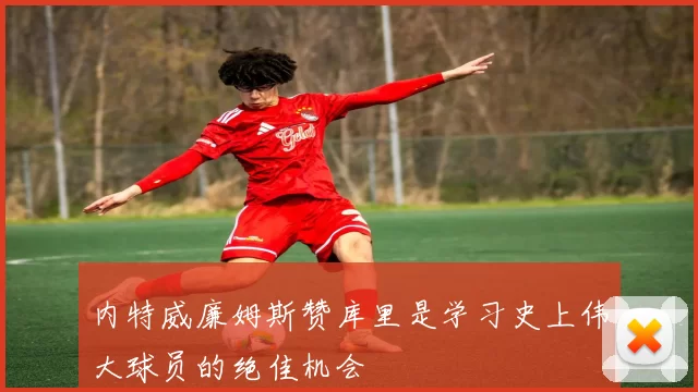 内特威廉姆斯赞库里是学习史上伟大球员的绝佳机会